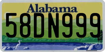 AL license plate 58DN999