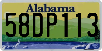 AL license plate 58DP113