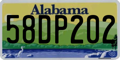 AL license plate 58DP202