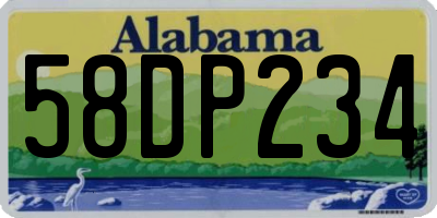AL license plate 58DP234