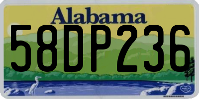 AL license plate 58DP236