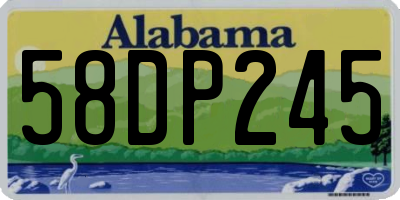 AL license plate 58DP245
