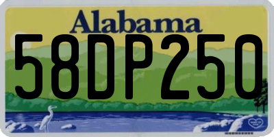 AL license plate 58DP250