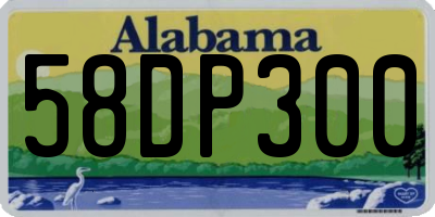 AL license plate 58DP300