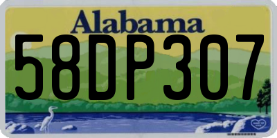 AL license plate 58DP307