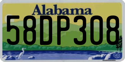 AL license plate 58DP308