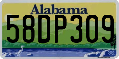 AL license plate 58DP309