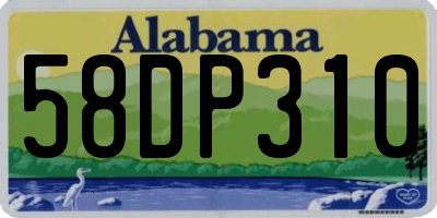 AL license plate 58DP310