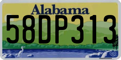AL license plate 58DP313