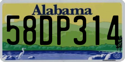 AL license plate 58DP314