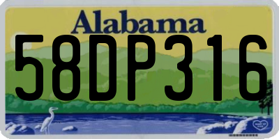 AL license plate 58DP316