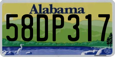 AL license plate 58DP317