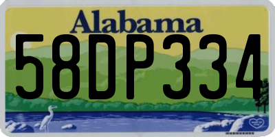 AL license plate 58DP334