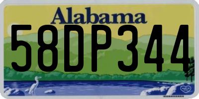 AL license plate 58DP344