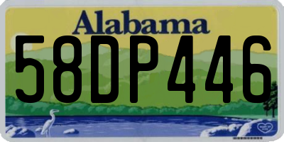 AL license plate 58DP446