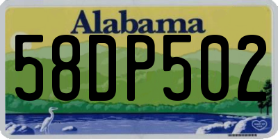 AL license plate 58DP502
