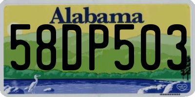 AL license plate 58DP503