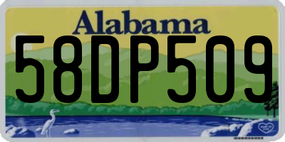 AL license plate 58DP509