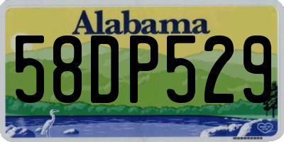 AL license plate 58DP529