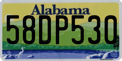 AL license plate 58DP530