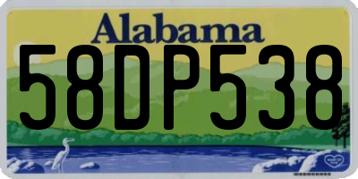 AL license plate 58DP538