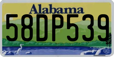 AL license plate 58DP539