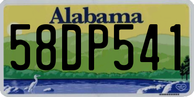 AL license plate 58DP541
