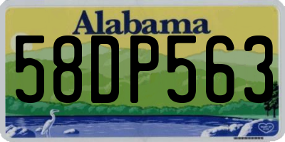 AL license plate 58DP563