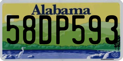 AL license plate 58DP593