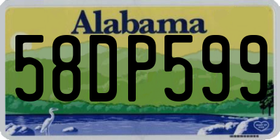 AL license plate 58DP599