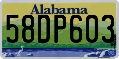 AL license plate 58DP603