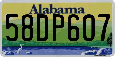 AL license plate 58DP607