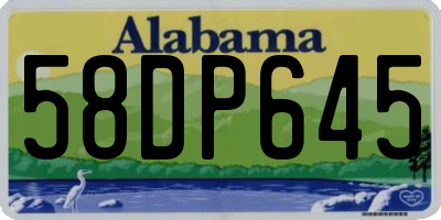 AL license plate 58DP645