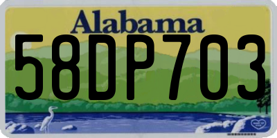AL license plate 58DP703