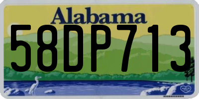 AL license plate 58DP713