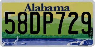 AL license plate 58DP729