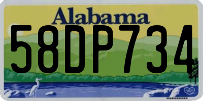 AL license plate 58DP734