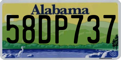 AL license plate 58DP737