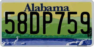 AL license plate 58DP759