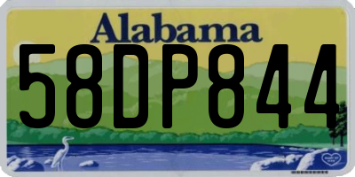AL license plate 58DP844