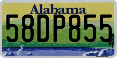 AL license plate 58DP855