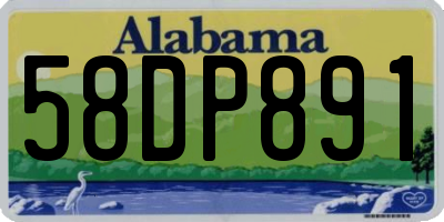 AL license plate 58DP891
