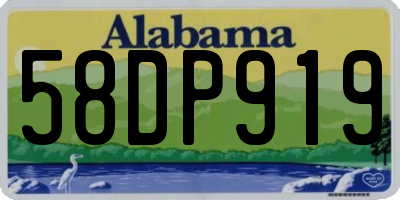 AL license plate 58DP919