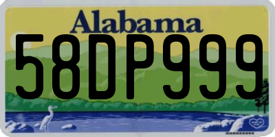 AL license plate 58DP999