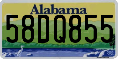 AL license plate 58DQ855