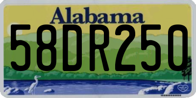AL license plate 58DR250
