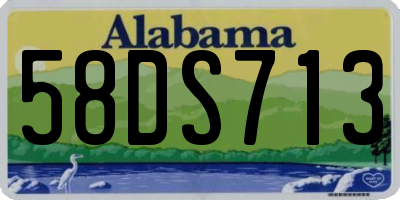 AL license plate 58DS713