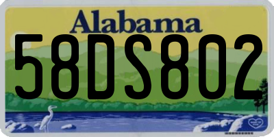 AL license plate 58DS802