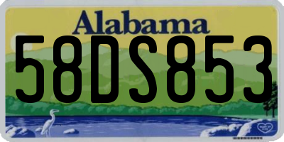 AL license plate 58DS853