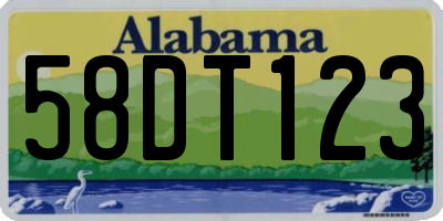 AL license plate 58DT123
